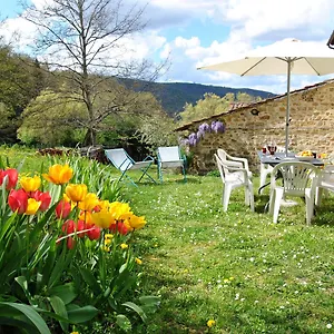 Casa vacanze Casa Al Miglio 
